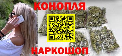 шишки Будённовск