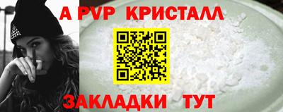 шишки Будённовск